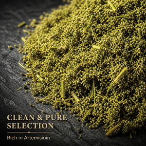 Artemisia Annua Biologica Essiccata Premium Qing Hao all'Ingrosso, <span class=keywords><strong>Erba</strong></span> Naturale di <span class=keywords><strong>Assenzio</strong></span> Dolce per Tè Salutari e Zuppe, OEM - Product Image 3