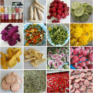 Mesin Pengering Frozen elektrik, Mesin Pengering Frozen canggih untuk penggunaan laboratorium makanan dengan komponen inti pompa - Product Image 4