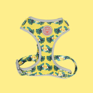 Hellomoonプロデュースプレミアム卸売カスタマイズカラフルな熱伝達プリントベストペット犬ハーネス - Product Image 1