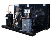 Unité de condensation intérieure HBP 50Hz avec moteur Tecumseh et capacité de refroidissement de 3/4 CV pour compresseur de réfrigérateur refroidi par air – Émirats Arabes Unis