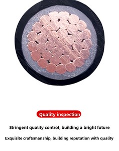 Zcyjv0.6/1 كيلو فولت سلك نحاسي أحادي النواة بي معزول كابل طاقة قياسي وطني بأحجام مللي متر/متر مربع - Product Image 6