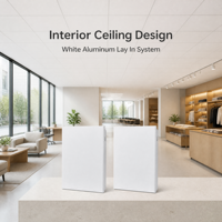 Dalle de plafond en métal blanc 300x600 rectangulaire à poser pour projets de design d'intérieur moderne