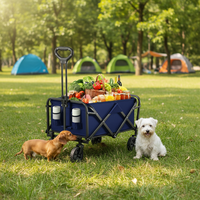 Chariot de camping pliable robuste, capacité 80 kg, chariot utilitaire pliable, mobilier d'extérieur portable pour la plage, le jardin et le shopping