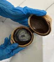 Savon Solide Artisanal Naturel aux Herbes, Fabrication à Froid, Doux, Blanchissant, Soin Quotidien de la Peau, Utilisation Spa et Hôtellerie pour Femmes et Tous Usages