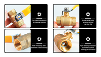 Válvula de bola de latón Bornic 3/8-8 con rosca macho neumática y conector de púas PEX MIP FIP, válvula de agua hembra, OEM personalizable