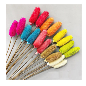 Fleur préservée <span class=keywords><strong>Dipsacus</strong></span> sativus séchée naturelle noix de thé conservées <span class=keywords><strong>Dipsacus</strong></span> Sativus pour la décoration de la maison - Product Image 2