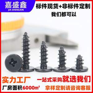 <span class=keywords><strong>Ca</strong></span> İnce Düz Başlı Çapraz Gözenekli Kendinden Kılavuzlu Vida, Demir Siyah Sertleştirilmiş Çivi, Elektronik Küçük M1.2-M4 - Product Image 2