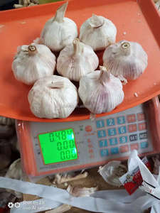 Plantador de ajo/agricultor en <span class=keywords><strong>China</strong></span> con buen precio - Product Image 5