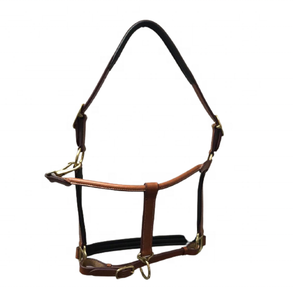 Elegancia Ecuestre: Halter de Cuero para Caballo Hecho a Mano para un Estilo Distintivo y Comodidad en el Equipo Ecuestre - Product Image 5