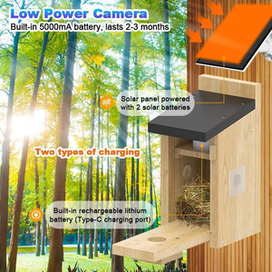 Caméra de Nid d'Oiseau à Faible Consommation d'Énergie, Grand Angle de Vision, 5MP, avec Vision Nocturne, Wi-Fi, Solaire, Garantie 1 An - Product Image 4