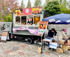 Chariot alimentaire électrique à 3 roues commercial, camion de vente de crème glacée personnalisé avec congélateur, tricycle entièrement équipé - Product Image 4