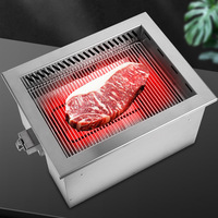 Horno Eléctrico Comercial Estilo Japonés OEM, Tubo de Calentamiento de Acero Inoxidable de 2400W, Directo de Fábrica, Plateado/Negro