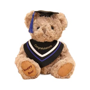 Orsetto di Peluche con Toga da Laureato, Regalo Souvenir Scolastico, Orsetto Teddy, Vendita all'Ingrosso - Product Image 5