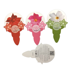 Etichette istruttive per la coltivazione di semi impermeabili progettate con più fiori etichetta stampata personalizzata - Product Image 6