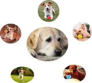 Jouet interactif écologique pour chien, distributeur de friandises à roulement lent, balle à mâcher en caoutchouc durable pour chiens et chats - Product Image 3