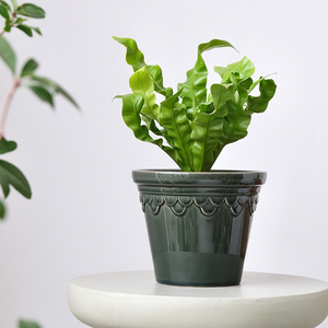 Vasi in Ceramica Smaltata Colorata Decorativi per Balcone, Moderni ed Ecologici, per Interni ed Esterni, Ideali per <span class=keywords><strong>Cactus</strong></span> e Giardino Domestico - Vendita all'Ingrosso - Product Image 5