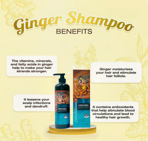 Champú y Acondicionador para el Cabello VICORA 2024, Última Fórmula para el Cuidado del Cabello con Jengibre, Suave y Sin Caspa, Sin Sulfatos ni Parabenos - Product Image 5