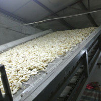 Plantaardige Droogapparatuur Vijg Kokosnoot Fruit Drogen Productielijn 300 Kg/u Doorlopende Band Droger Machine