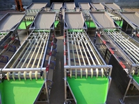 Heetverkopende olijven sorteermachine, appel sorteermachine, citrus sorteermachine