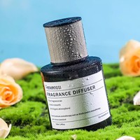 Vente en gros Désodorisant pour voiture Parfum de voiture de luxe Désodorisant suspendu Parfum Bouteille en verre de luxe personnalisée avec bouchon diffus