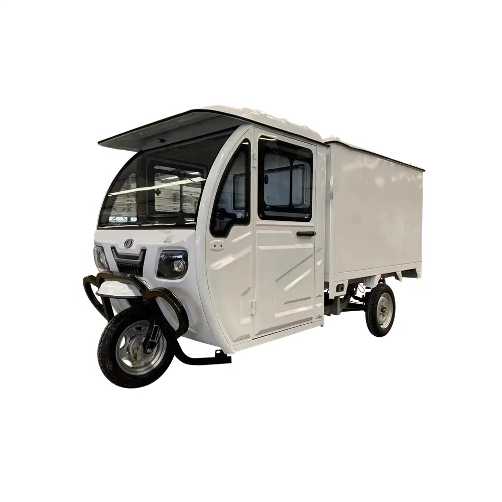 60V Adult Closed Cab Tricycle Closed Cabin Electric Tricycle Cargo