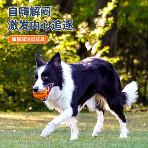<b>Dog</b> Chew Toy Teeth Cleaning Rugby <b>Ball</b> Orange Medium Size Teething Pet Toy - Product Image 1