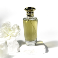 Bouteilles d'huile de parfum en gros Conteneur cosmétique Bouteille de parfum 100ml Bouteilles de parfum vides en verre transparent à cylindre