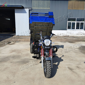 Produits phares : Tricycle à essence à 3 roues de haute qualité, vente directe usine, grande capacité pour la livraison - Product Image 6
