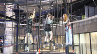 Terrain de jeu intérieur Ninja Course for Trampoline Park & indoor sport park