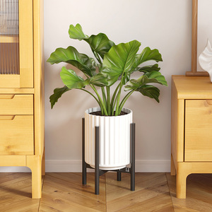 Venta al por mayor sala de estar de metal plantas en maceta hierro organizar estante escalable esquina planta soporte estante olla Tanaman interior soporte de almacenamiento - Product Image 5