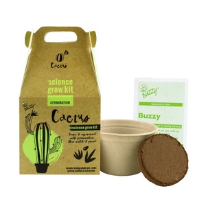 Kit di coltivazione scientifica con vaso biodegradabile-Kit di coltivazione educativo <span class=keywords><strong>per</strong></span> bambini-giardinaggio <span class=keywords><strong>per</strong></span> bambini-girasole fragola Cactus - Product Image 3