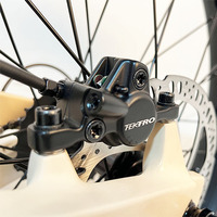 Vélo électrique de montagne Roadsan personnalisé ODM OEM, 26 pouces, 750W, moteur central 48V, alliage d'aluminium, gros pneus, 32 km/h