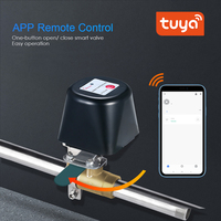 Contrôleur de vanne intelligent WiFi, application Tuya, commande à distance, actionneur de vanne à boisseau sphérique pour GPL, gaz naturel DN15 DN20 12V
