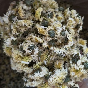 Thé au chrysanthème de <span class=keywords><strong>Huangshan</strong></span> Gongju |   Thé aux herbes pour le soutien du foie et la santé des yeux |   Sans caféine | Chrysanthèmes séchés en vrac | OEM - Product Image 5