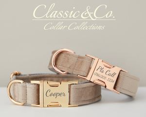 Grey Veet Cá nhân hóa con chó cổ áo dây xích thiết lập với hoa & BOW TIE cho Nam Nữ PET, vàng khắc tên tag, Wedding Puppy Quà Tặng - Product Image 1