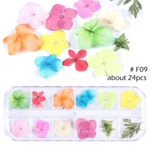 <span class=keywords><strong>3D</strong></span> Nail Dry Flower Mix Daisy <span class=keywords><strong>Girasol</strong></span> Flores secas naturales <span class=keywords><strong>Uñas</strong></span> - Product Image 5