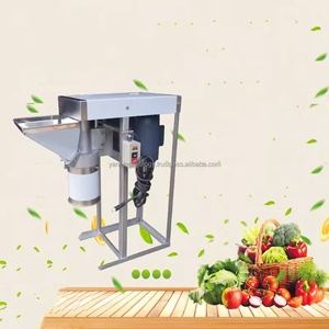 Pâte d'oignon de bonne apparence de machine de broyeur d'igname de nouveau style faisant la machine sur Offre Spéciale - Product Image 6