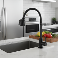 Keran Dapur Stainless Steel Modern dengan Lapisan Hitam Brushed, Dilengkapi Semprotan Tarik, Pegangan Tunggal, Pemasangan di Dek untuk Rumah & Hotel