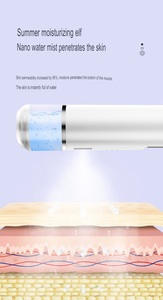 Spruzzatore Nano Viso Portatile Ricaricabile da 30ml con Nebulizzazione Continua e Filtro a Ioni Negativi per Bellezza e Cura Personale - Product Image 2