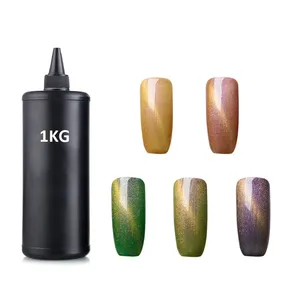 New 3D Cat Eye UV Gel 15 Color Soak Off Nail Gel Polish Hot Products For United States 2024 Gel Mail Polish 1kg MOQ OEM