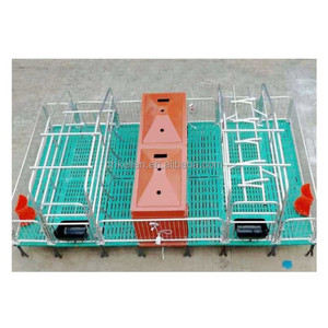 Équipement d'élevage porcin : <span class=keywords><strong>Lit</strong></span> de mise bas <span class=keywords><strong>pour</strong></span> truies, <span class=keywords><strong>Lit</strong></span> de mise bas européen à double accouchement, Incubateur <span class=keywords><strong>pour</strong></span> porcelets, Caisses de mise bas <span class=keywords><strong>pour</strong></span> porcherie, Équipement d'élevage porcin <span class=keywords><strong>pour</strong></span> truies, <span class=keywords><strong>pour</strong></span> l'élevage animal - Product Image 4