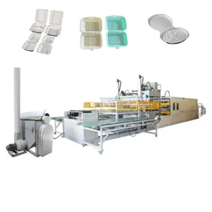 Energy-Saving Foam Food Box Container Machine for Sustainable Packaging Solutions