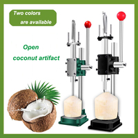 Outil portable pour percer la noix de coco, ouvre-noix de coco frais, ouvre-noix de coco à retirer le noyau