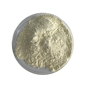 Huhn Sternum Knorpel nicht denaturiertes Kollagen Typ II - Product Image 1