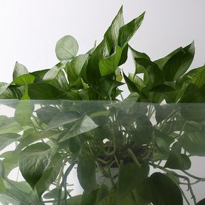 농업용 5 층 자외선 차단 플라스틱 온실 필름 - Product Image 4