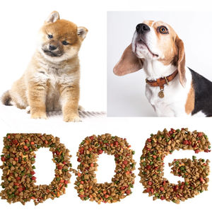 Machine De Fabrication De Nourriture Pour Chien Croquette Machine De Fabrication De Nourriture Pour Chiens Avec Certificat CE - Product Image 6