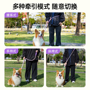Dog Leash Nylon <b>Padded</b> Rope For Small Medium Large Dogs <b>Walking</b> Supplies Solid Color QW1999 - Product Image 4
