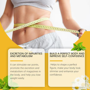 7 Parches Corporales con Veneno de Abeja para Quema Rápida de Grasa y Mejora Corporal - Parches para el Cuidado de la Piel - Product Image 3