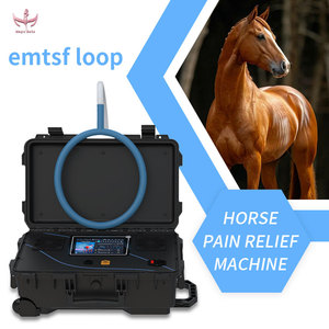 Dispositivo de Terapia Magnética PEMF Magic Belle Horse, Equipo de Fisioterapia EMSF Loop, Máquina de Alivio del Dolor para Uso Veterinario - Product Image 1