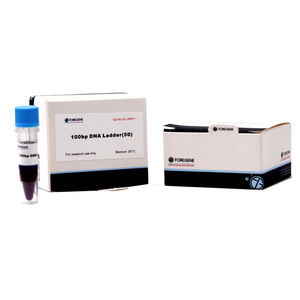 Kits de réactifs biologiques moléculaires Molécules Marqueur de poids Marqueur d'ADN Échelle d'ADN 700 bp - Product Image 2